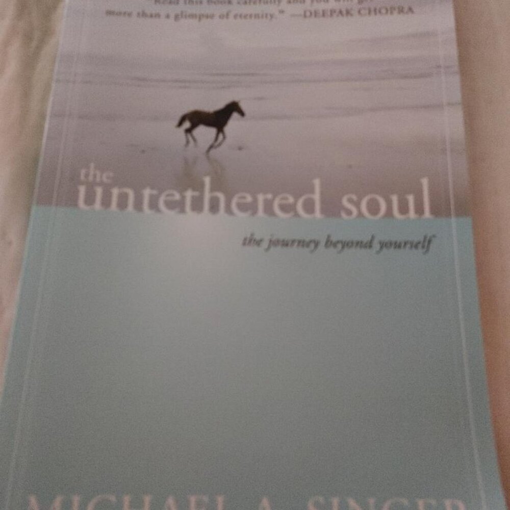 "Untethered Soul", "Real Love", "Living the Simple Life" & "Hallelujah Anyway" - Picture 7 of 10